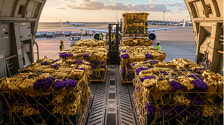 Cargo on an airplane